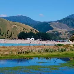 Nelson Region